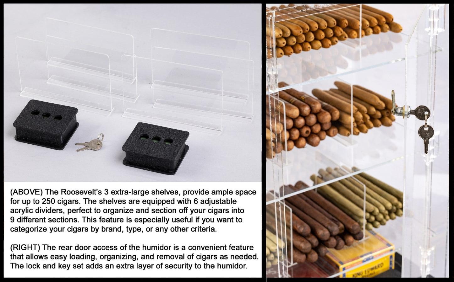 Humidor--Roosvelt Wood