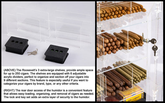 Humidor--Roosvelt Wood